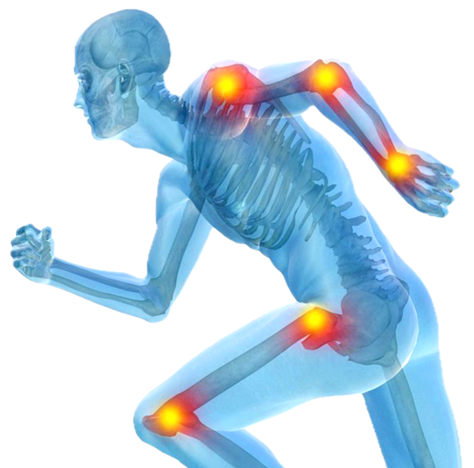 Orthopaedics web image