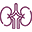 kidney health checkup