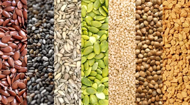 seven seeds tulips blog