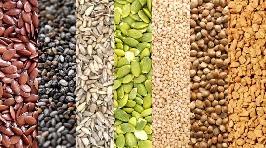 seven seeds tulips blog