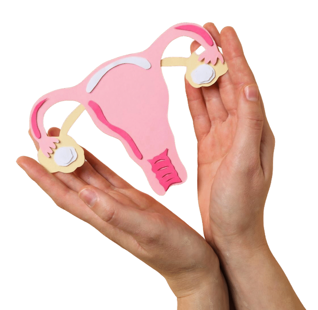 womens health womens healthcare concept with uterus