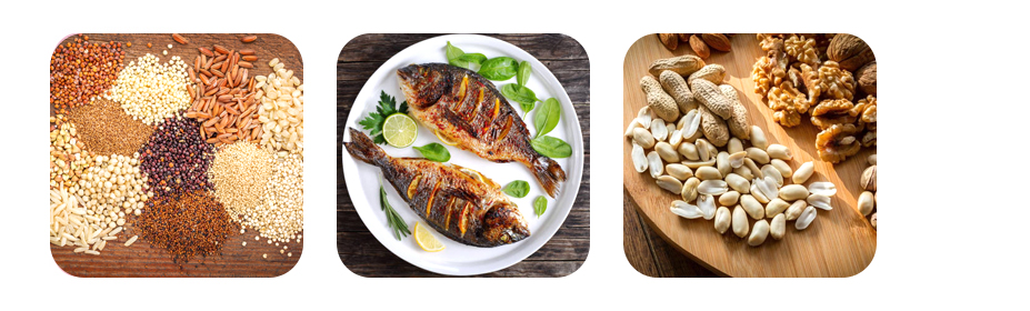balanced macronutrients
