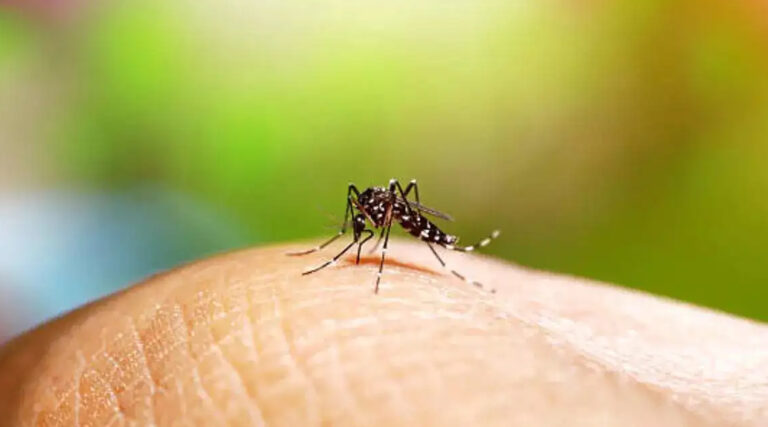 dengue a communicable disease main image