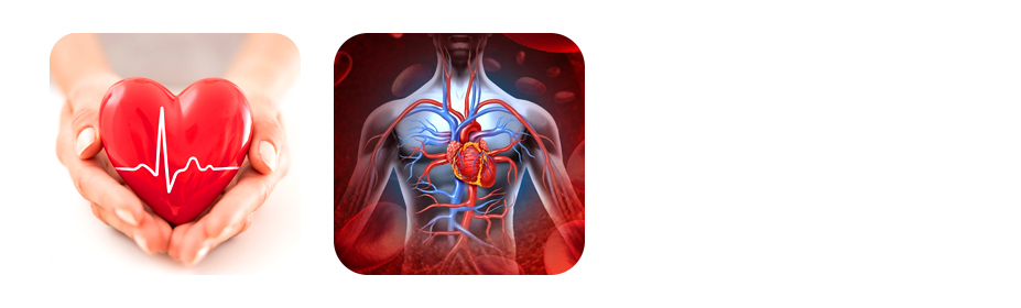 mustard iil traditional and heart friendly