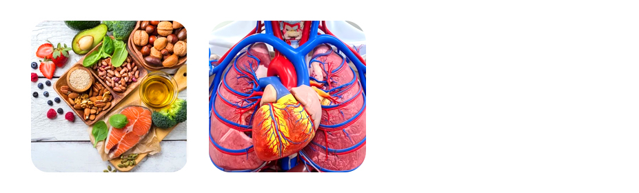 sunflower oil rich in vitamin e