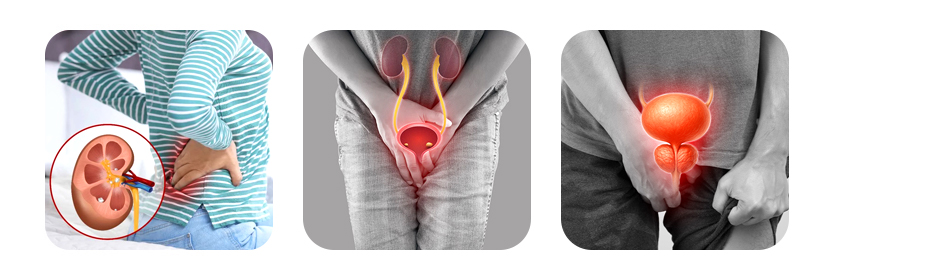 urology and kidney care